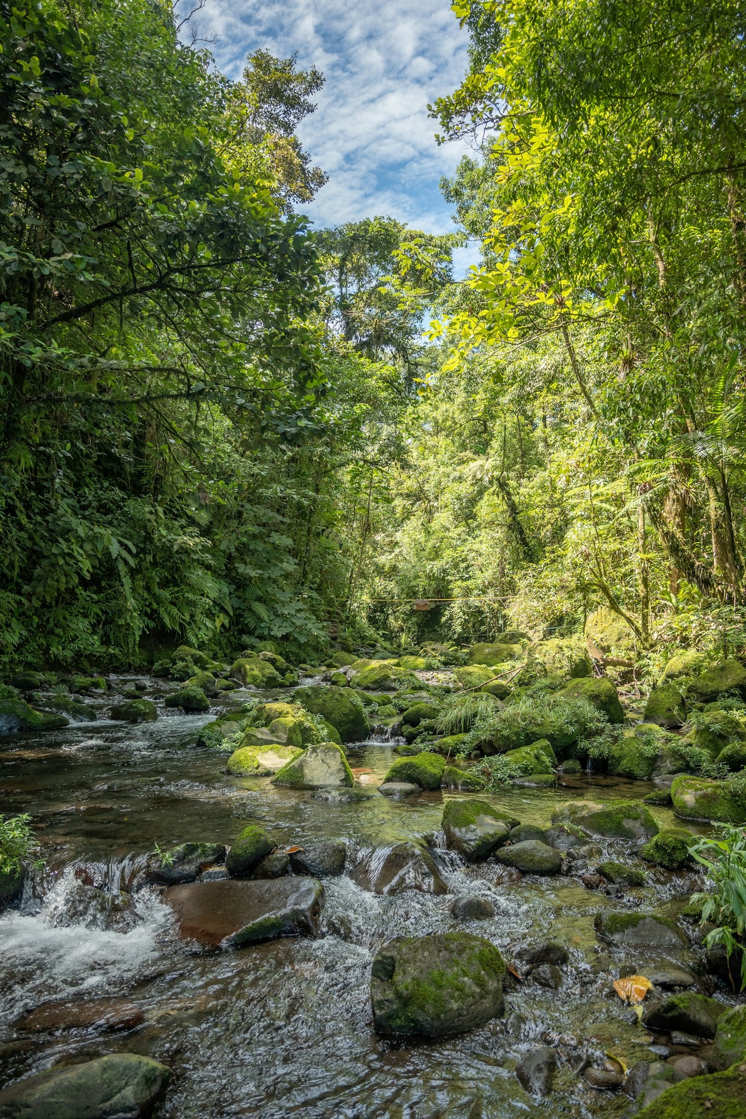 Comprendre le cercle élite : perspectives avancées